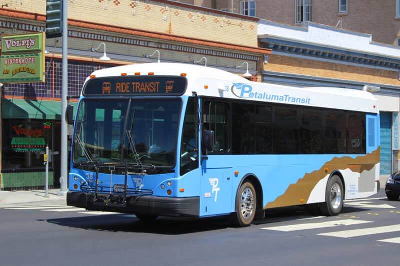 Petaluma_transit Petaluma Transit