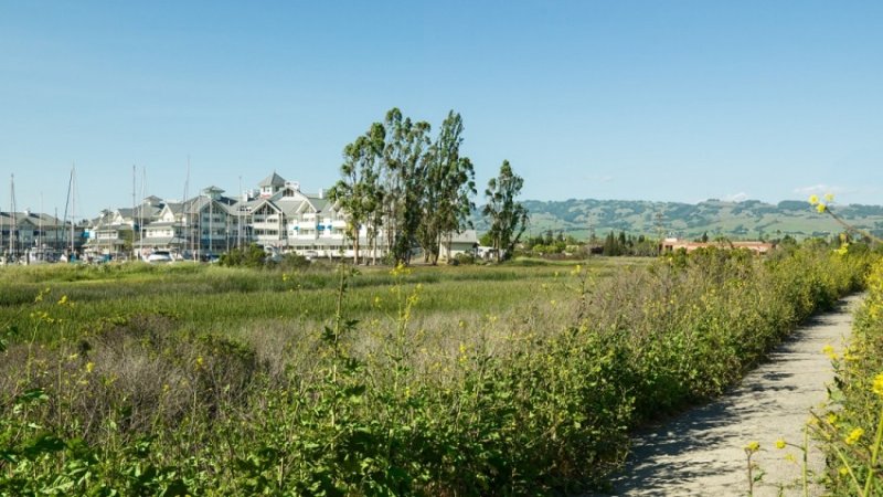 Sheraton sonoma wine country petaluma