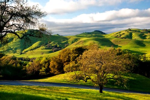 A guide to petaluma parks