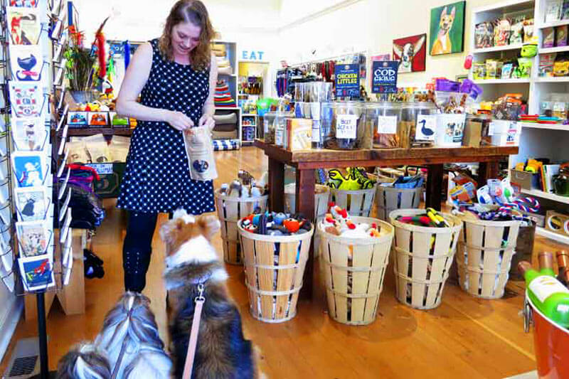 Petaluma's Pet Friendly Places Visit Petaluma