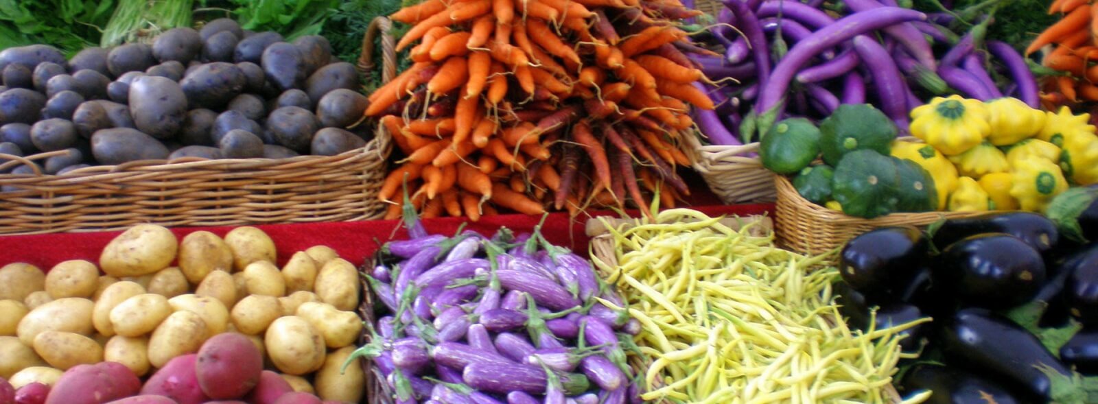 farmers market petaluma