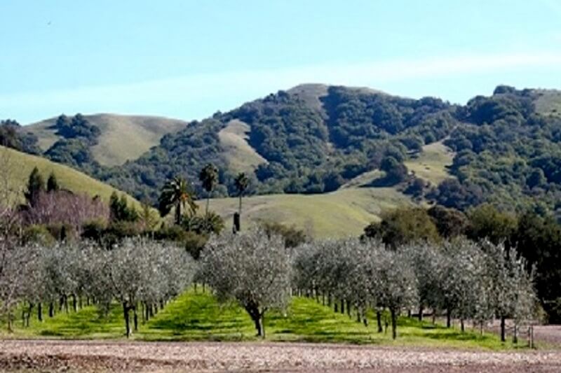 mcevoy ranch walkabout tour