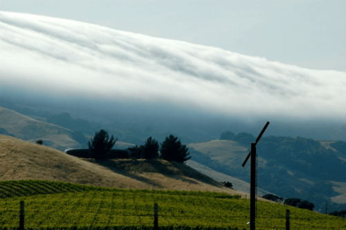 Petaluma Gap from Wind to Wine #2