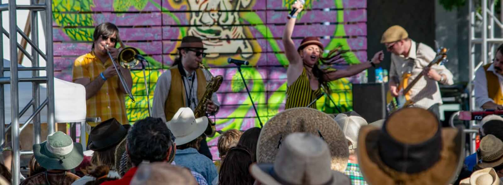 Musicians in Petaluma