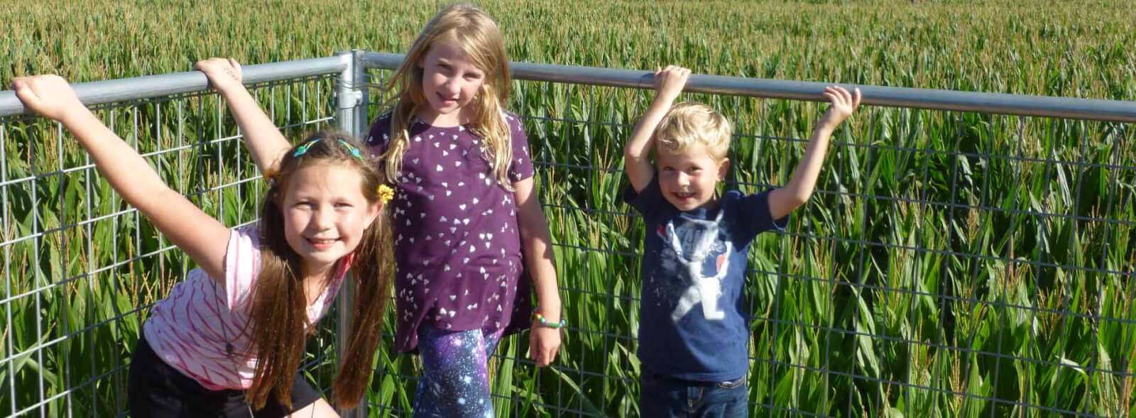 Two girls and a younger boy outdoors in front the corner of a wire fence with grasses behind.