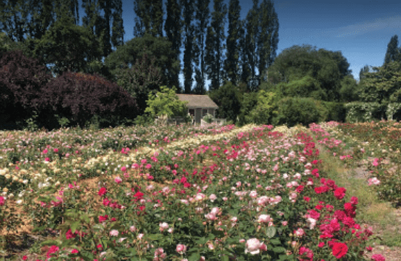 mcevoy ranch walkabout tour