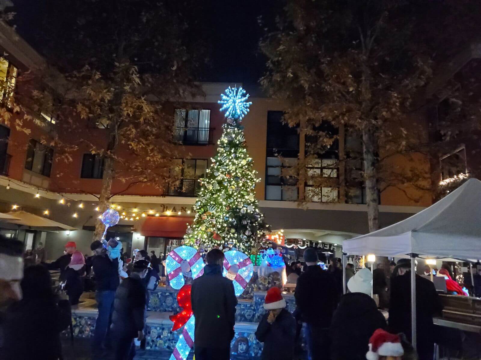Petaluma's Holiday Events in 2026