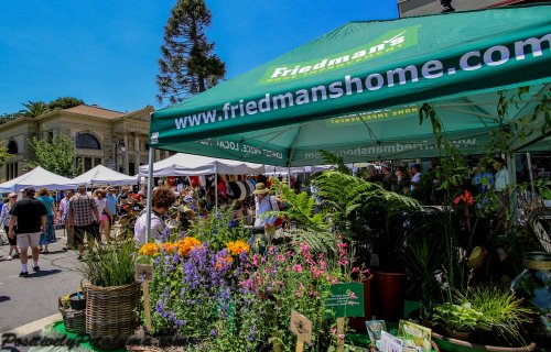 Art & garden festival