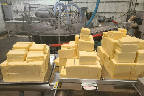 Petaluma creamery factory tour