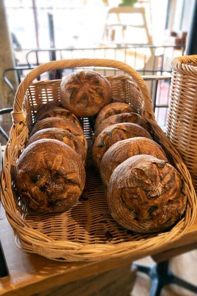 Sourdough boules in a basket