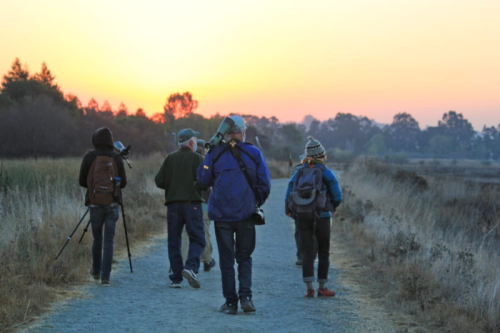 Guided bird & nature walk at ellis creek