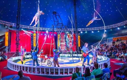 Garden Bros Nuclear Circus: Fun Factory – Petaluma