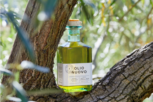 Olio Nuovo Experience