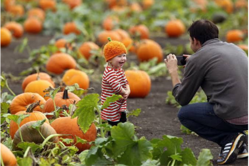 Mickelson pumpkin patch