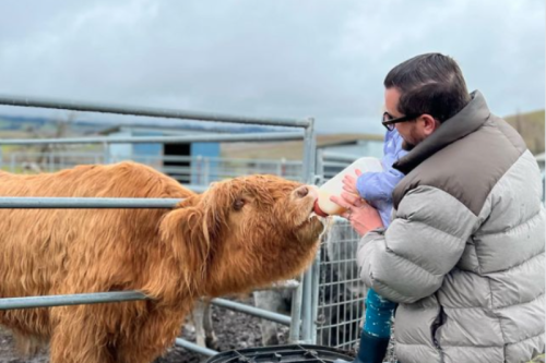 Visit With The Animals