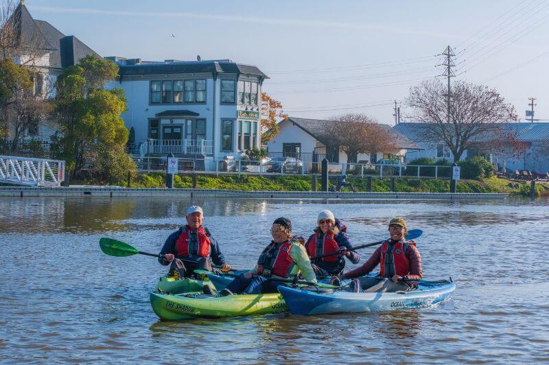 Paddle the petaluma: turn to the river guided kayak tour
