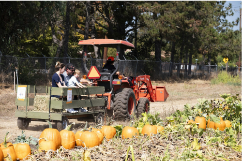 Sonoma county farm trails