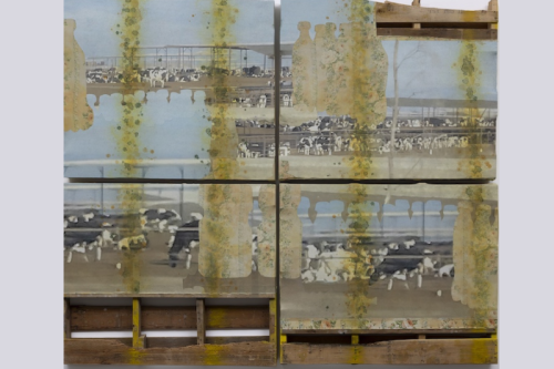 Dust to Dust | Artist Talk and Presentation with Katie Murken