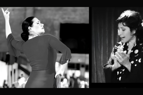 Flamenco! Live! At restaurante barcelona