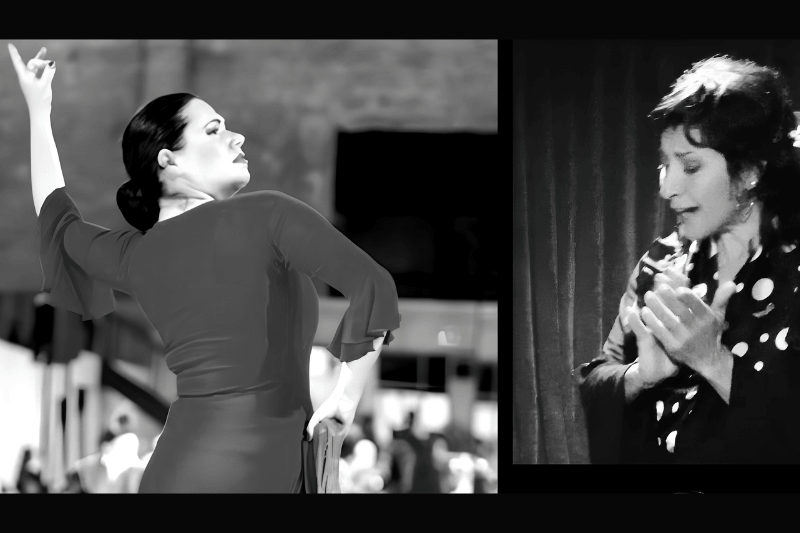 Flamenco! Live! At restaurante barcelona
