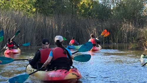 Upstream high tide paddle on the petaluma river