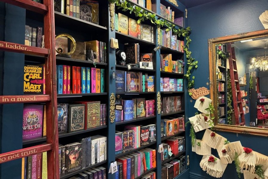 Colorful books shelved in cozy book shop