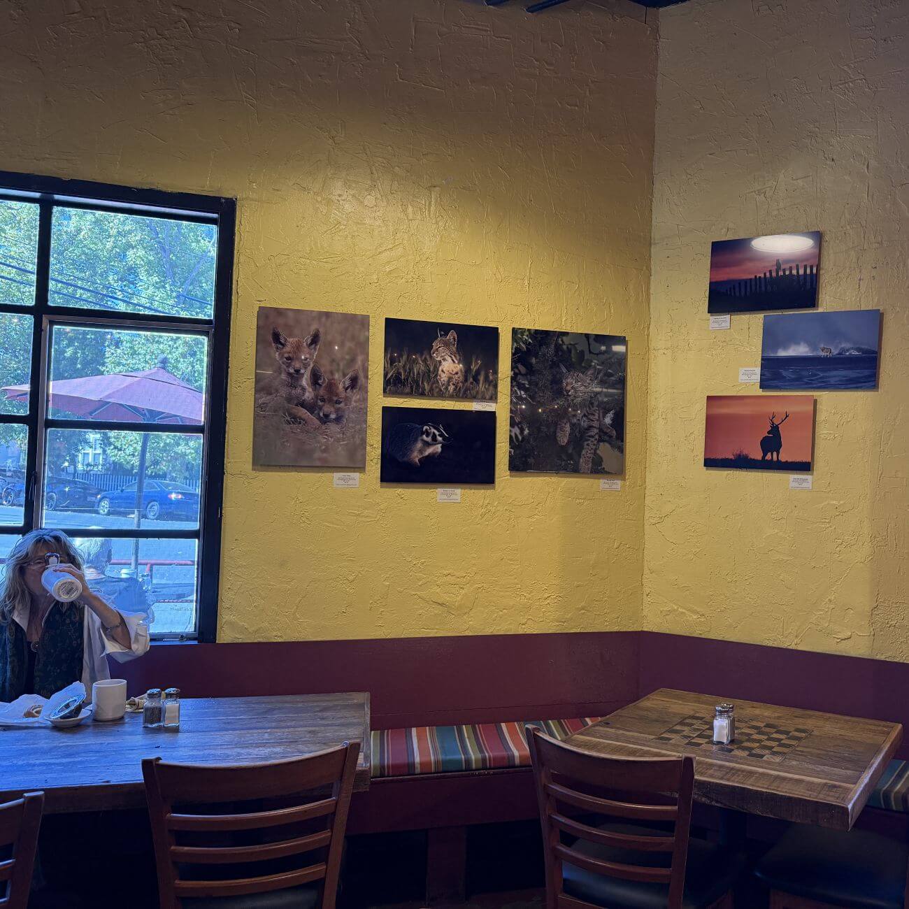 Art gallery in a cozy café
