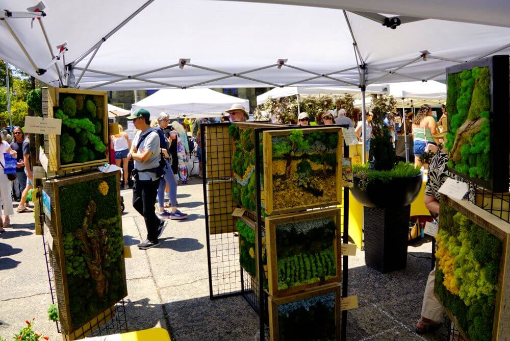 Art display featuring vertical gardens with green moss