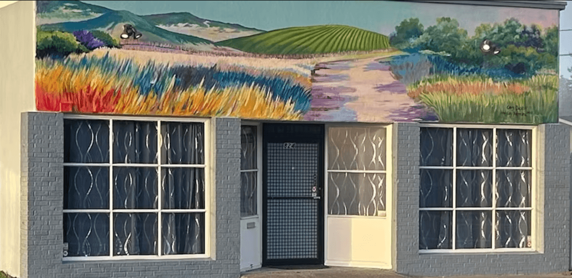Petaluma's live music scene