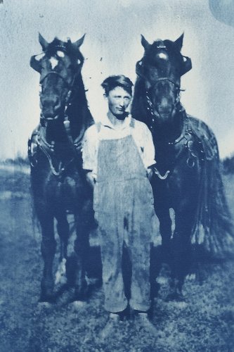 The year of horses
