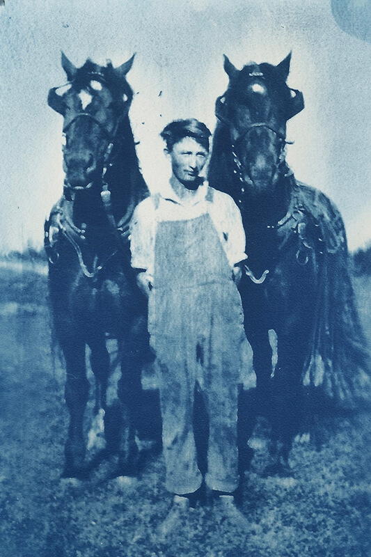 The year of horses