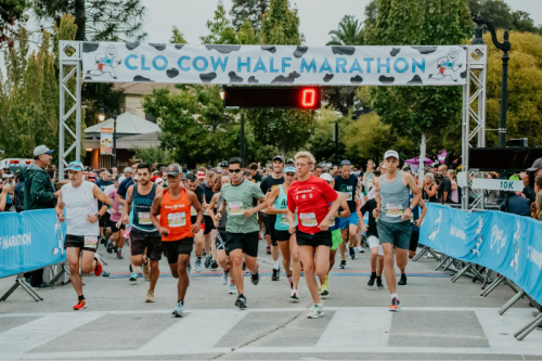 Clo Cow Half Marathon, 10K, & 5K