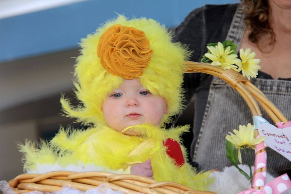 Baby in chick costume in basket