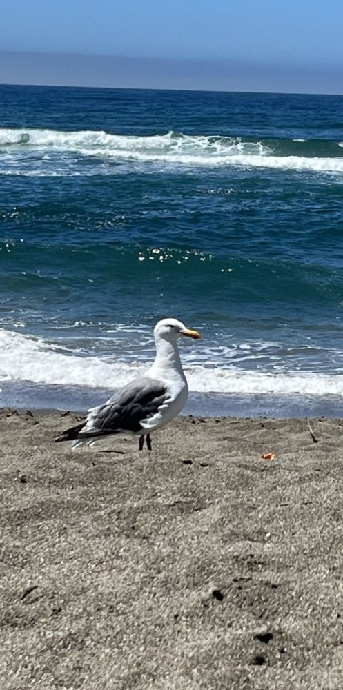 Outdoor Recreation & Activities in Petaluma | Paddle & Biking