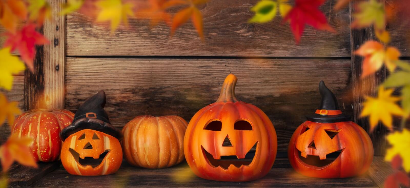 Jack o' lanterns and fall leaves in front of rustic wall.