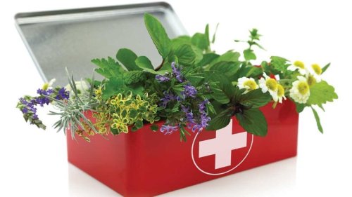Herbal First Aid