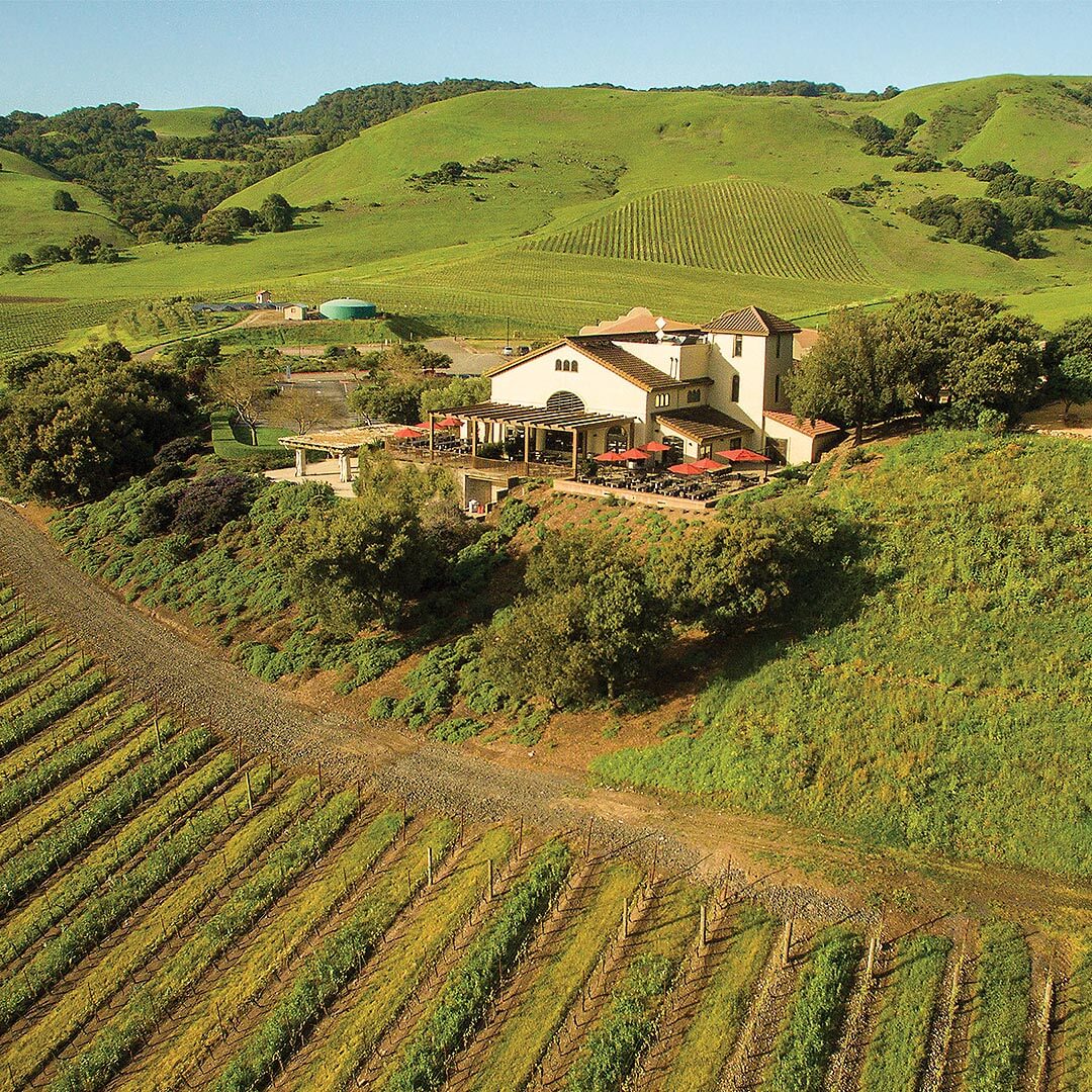 Winery and vineyard nestled in green hills on a sunny day