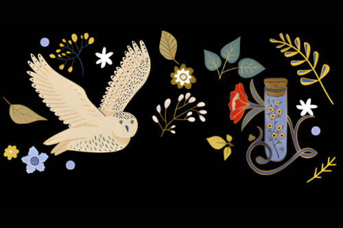 Renaissance science, magic, and medicine in harry potter’s world exhibit