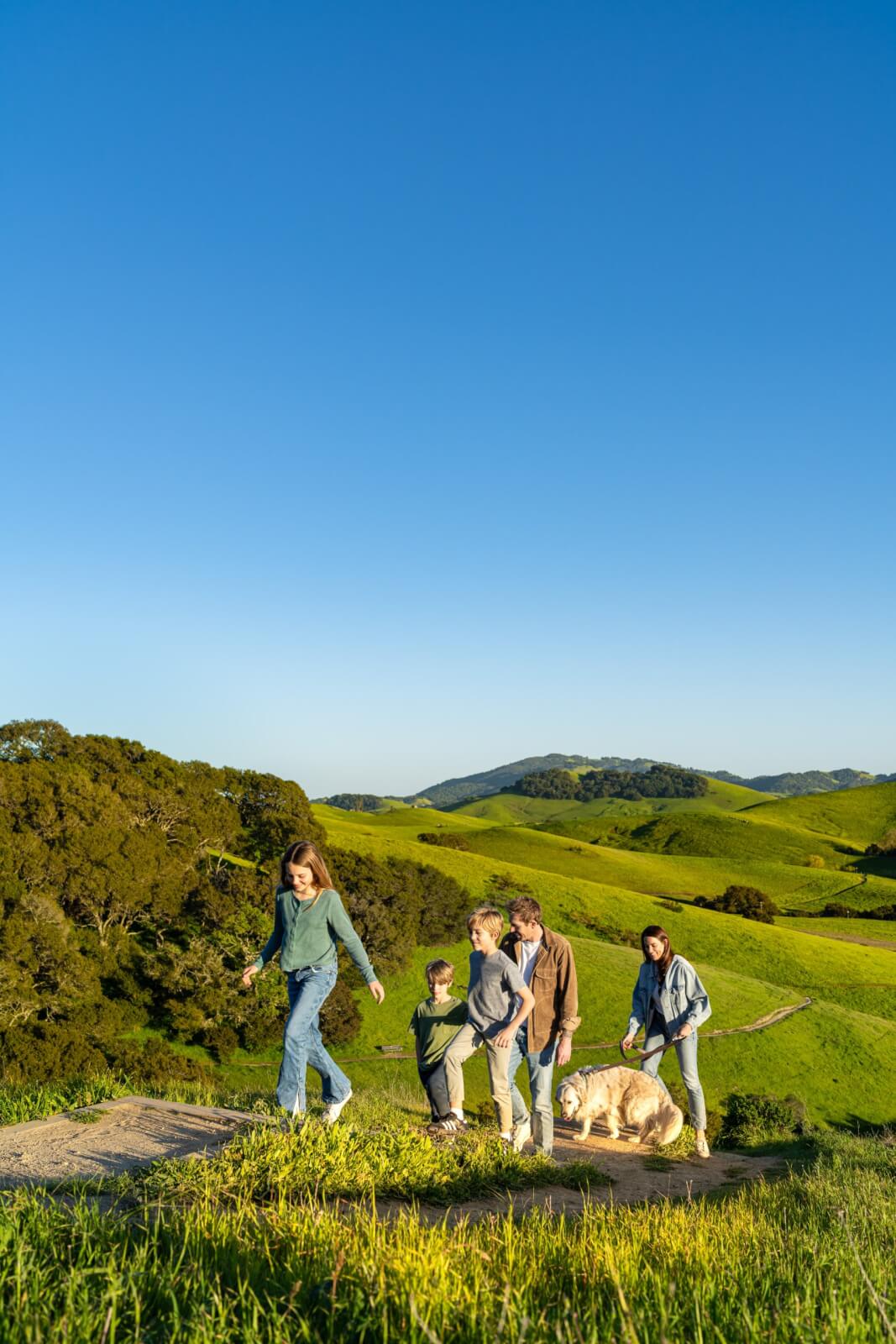 Outdoor recreation 6 Family hiking hills with dog