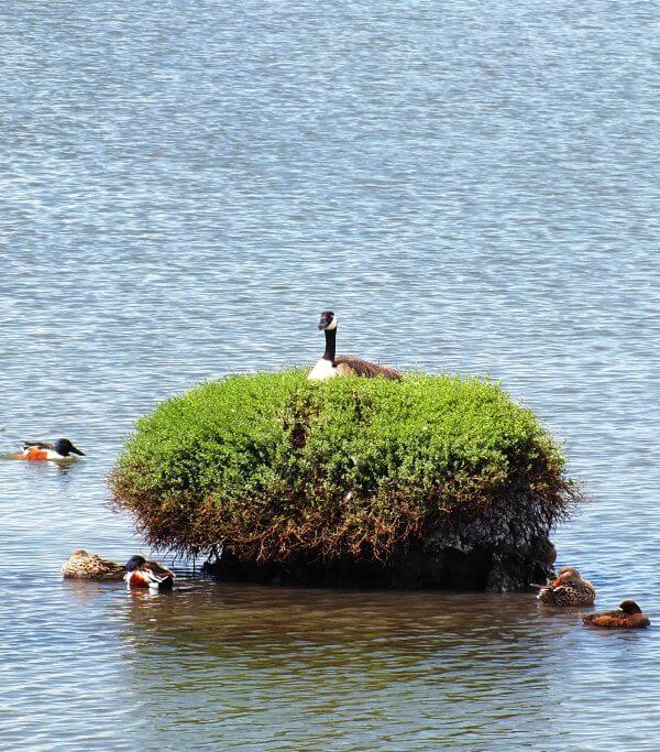 Outdoor recreation 10 Outdoor recreation