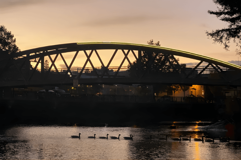 Thursday sunset paddle & party at the floathouse petaluma