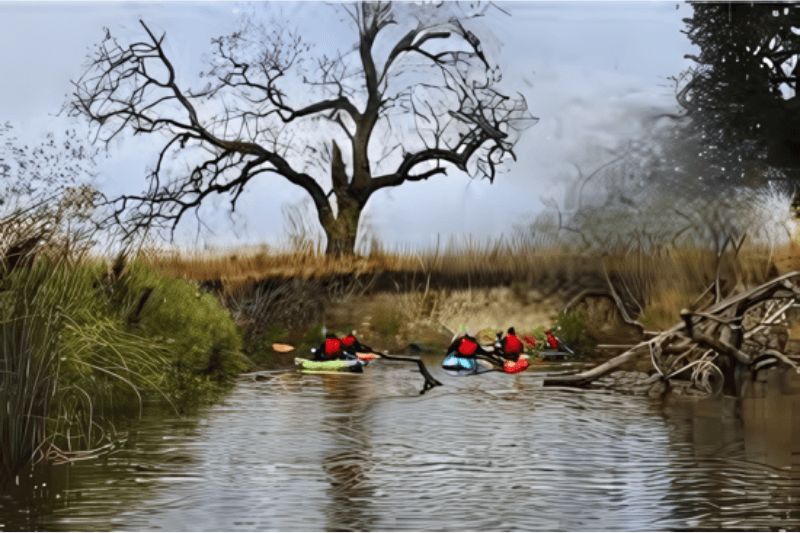 Petaluma River Upstream High Tide Paddle at The Floathouse Visit Petaluma