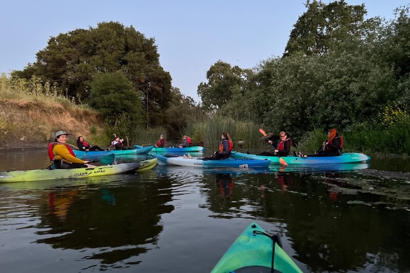 Group kayaking on calm water
