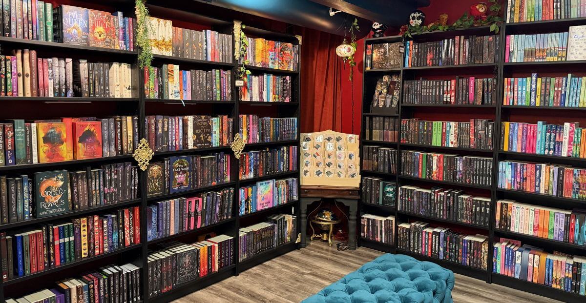 11 rainy day activities in petaluma